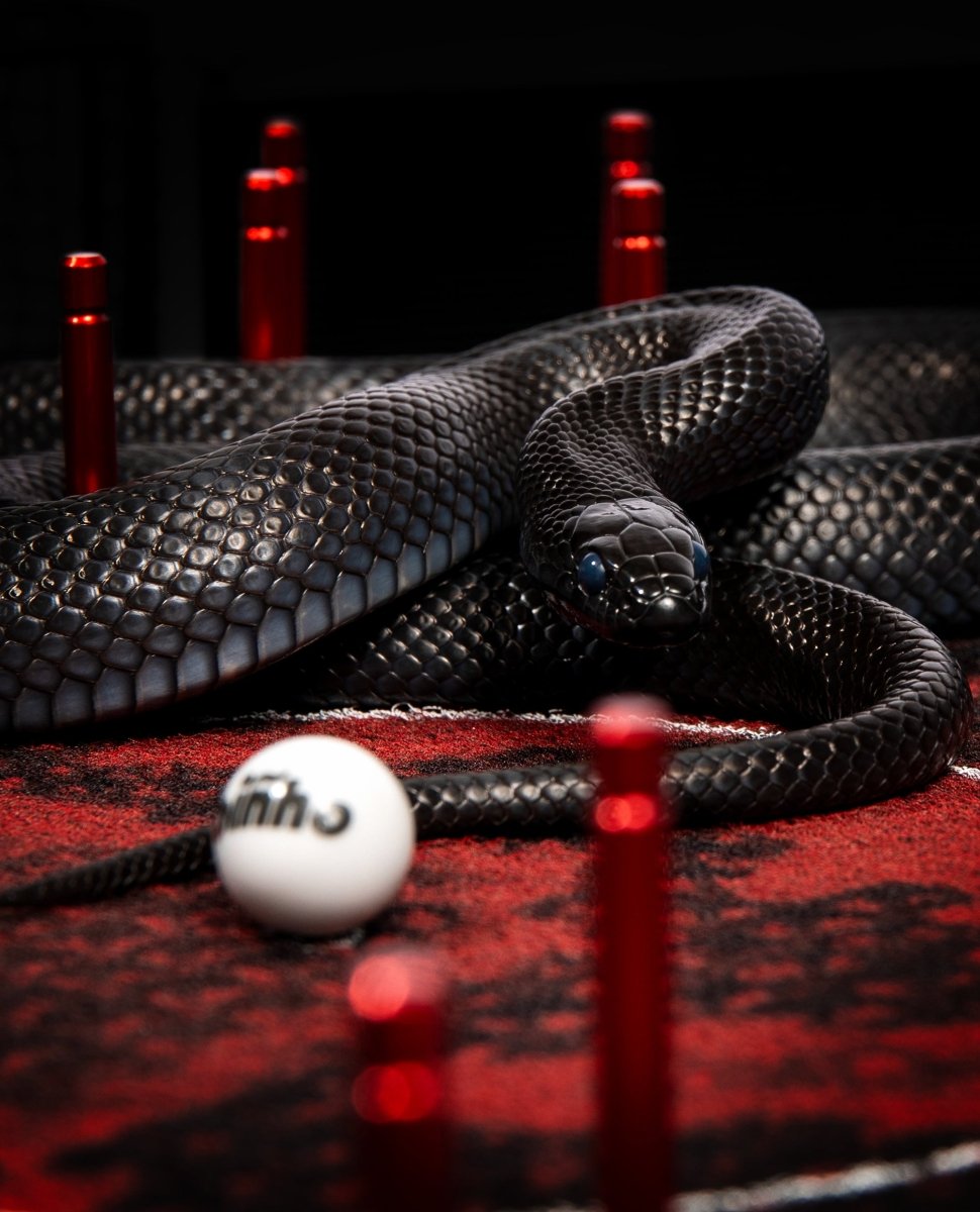 Binho Classic: Red Python (Limited Edition) - Binho Board